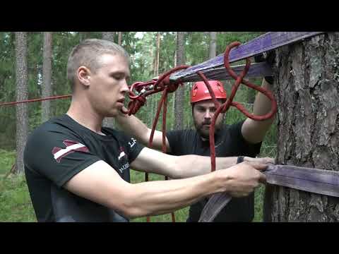 Video: Kāpēc Pamatskolās Pazemina Pakāpes