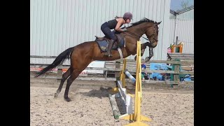 Classified - Retraining a Racehorse to an Event Horse
