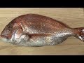 真鯛のさばき方～握りになるまでと潮汁の作り方　寿司屋の仕込み　how to fillet a red snapper and make sushi