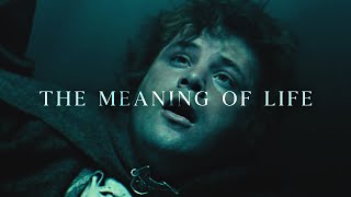 The Meaning Of Life.