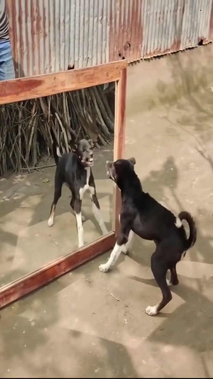 📑முக்கியமான வாட்ஸ்அப் தகவல் - ShareChat