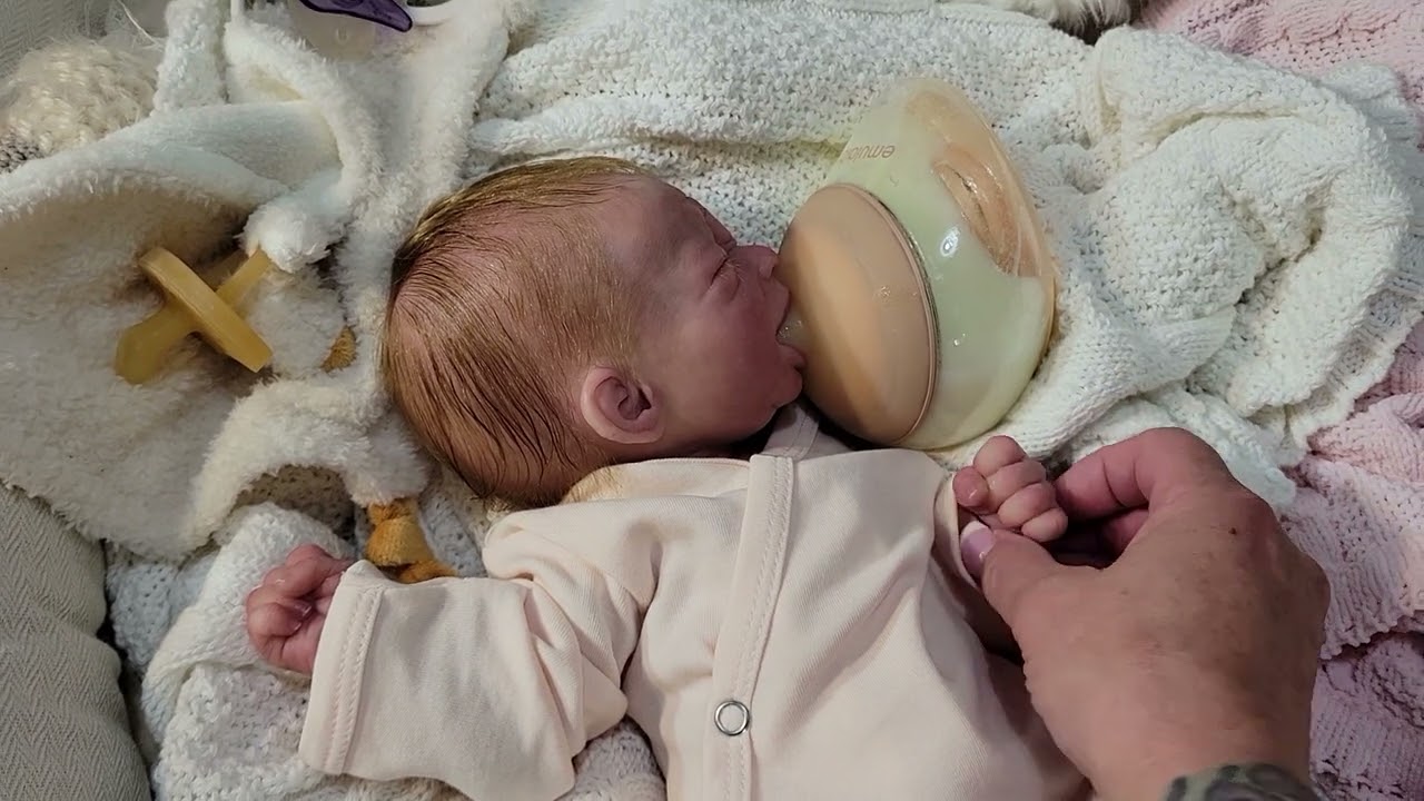 Reborn doll Mom's being ridiculed for not holding our dolls while 