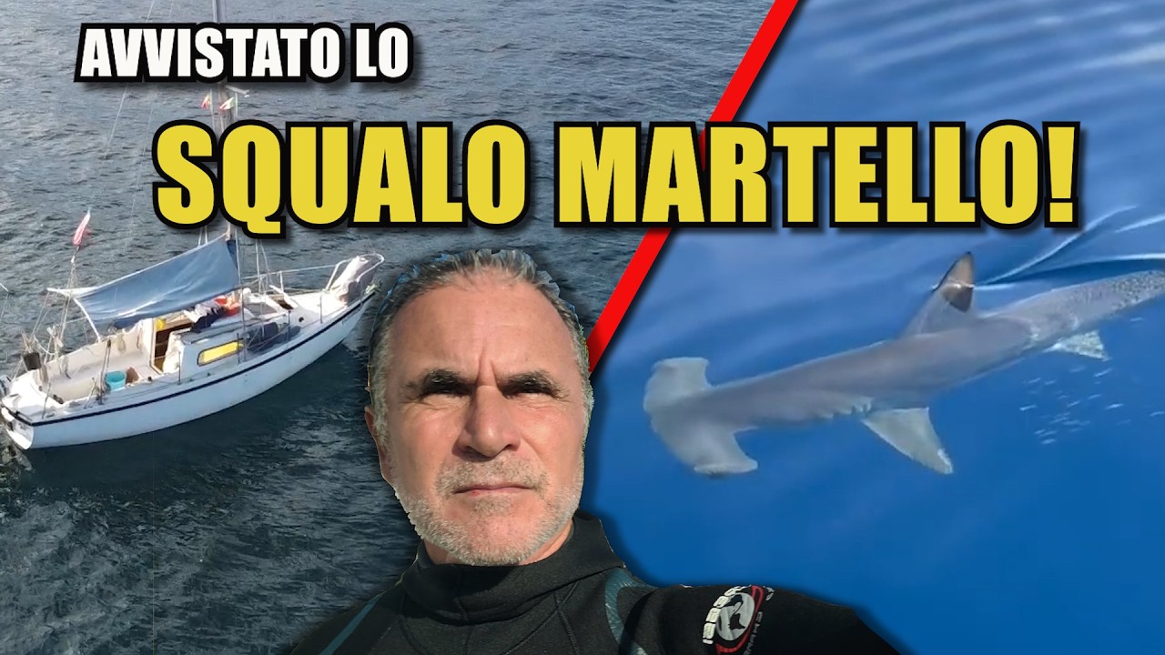 ⁣Canarie in 7 metri: vela e pesca tra gli Squali Martello