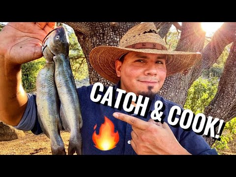 Catfish Catch And Cook! Making Delicious Fish Soup!