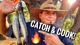 Catch And Cook Catfish! Campfire Cooking Fish Soup!