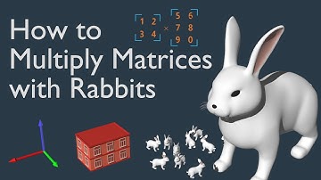 How to Multiply Matrices with Rabbits #SoME3