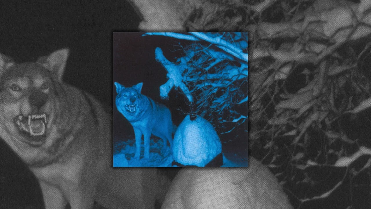 Throes of Dawn - 1997 - Pakkasherra