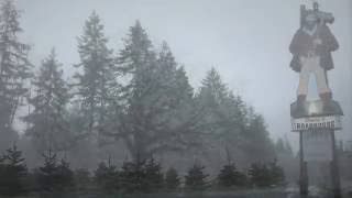 Twin Peaks Season 3 Sycamore Trees teaser