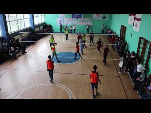 ფრენბურთის ჩემპიონატი