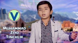 Muhammad Ziyo - Tinchlik Мухаммад Зиё - Тинчлик
