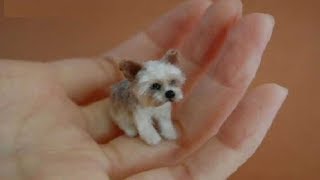 Menor raça de cão do mundo Clearance