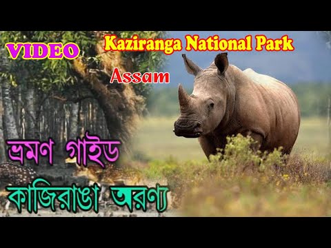 ভিডিও: কাহুরাঙ্গি জাতীয় উদ্যান: সম্পূর্ণ গাইড