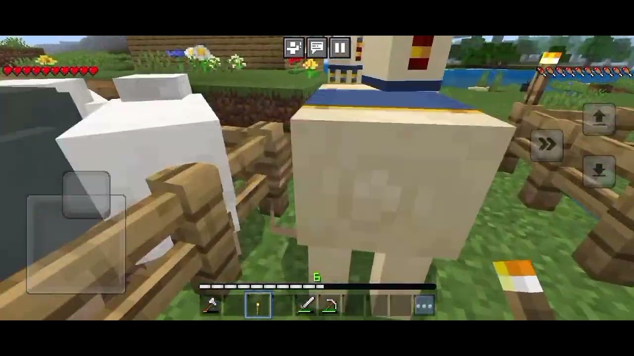 Minecraft part 9