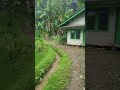 AFTERNOON RAIN MAKES YOU FEEL LIKE YOU'RE HOME #ruralliving #explore #rainsoundsforsleeping