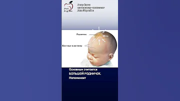 БОЛЬШОЙ РОДНИЧОК. Что должна знать каждая мама.