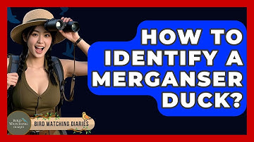 How To Identify A Merganser Duck? - Bird Watching Diaries