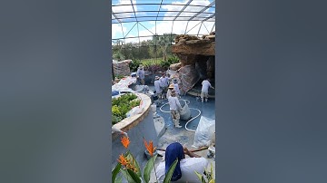 Backyard Goals: Lazy River. The client wanted the Ultimate Insane Pool Experience! How did we do?