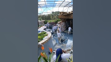 Backyard Goals: Lazy River. The client wanted the Ultimate Insane Pool Experience! How did we do?