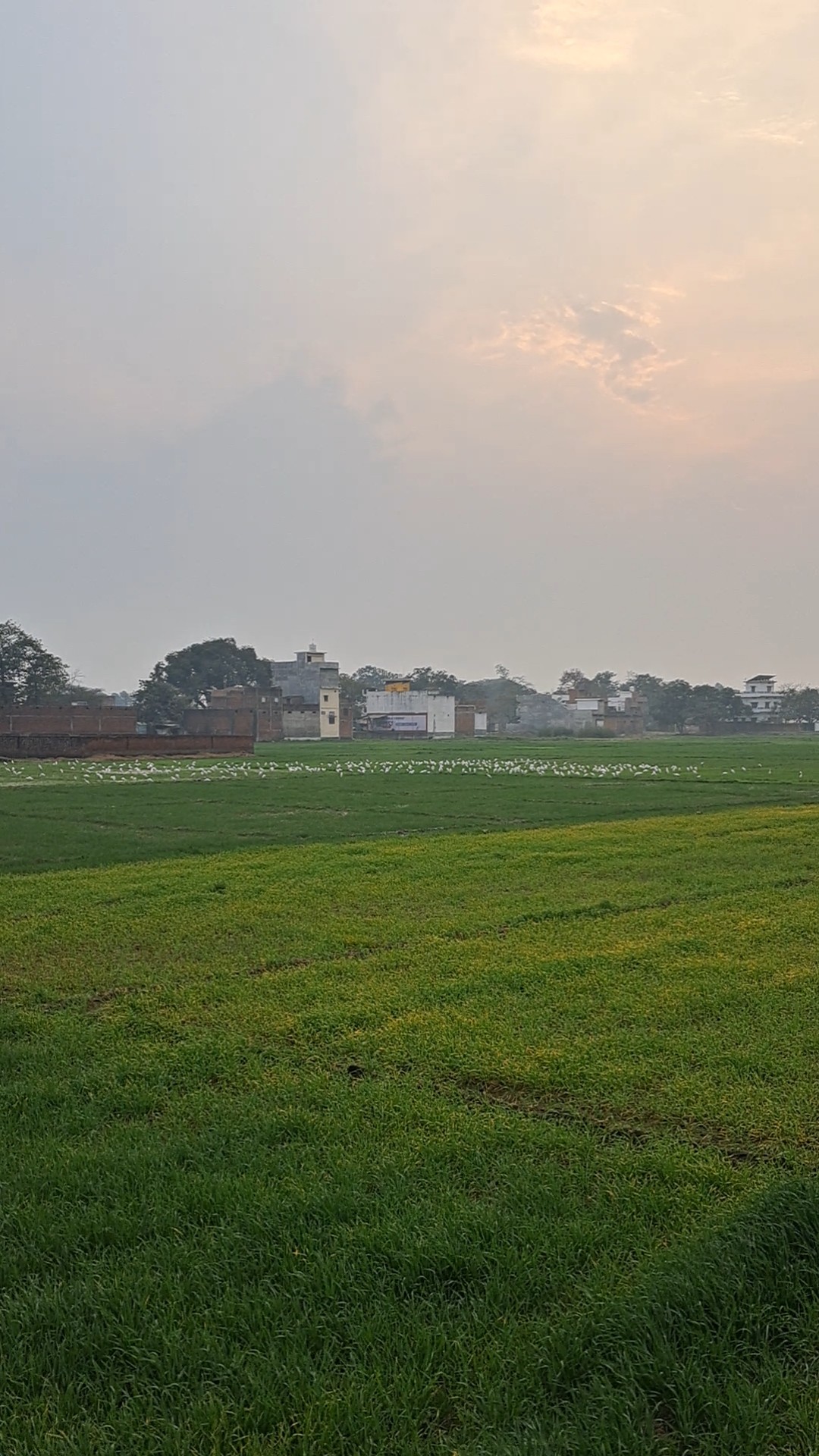 krishfunfacts - ShareChat