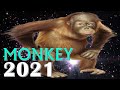 Monkey Horoscope 2021 |✦| Born 1932, 1944, 1956, 1968, 1980, 1992, 2004, 2016