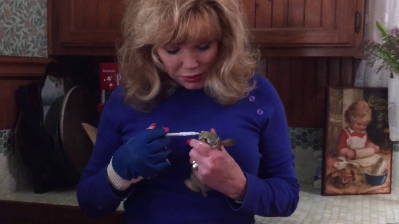 Wild Animal Advocate Beverlee McGrath YouTube