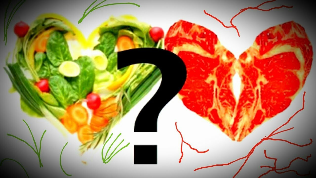 SHOULD WE EAT MEAT? OR GO VEGAN? YOUR THOUGHTS? - YouTube
