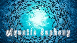 Aquatic Euphony: Sunlit Ensemble of Oceanic Life #Soul4Souls