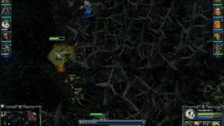 HoN Panda plays with Fire