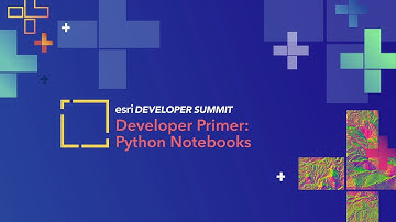 Developer Primer: Python Notebooks