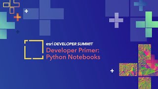 Developer Primer: Python Notebooks