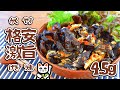 地味でも激旨…！黒酢ラー油の衝撃キクラゲ炒め