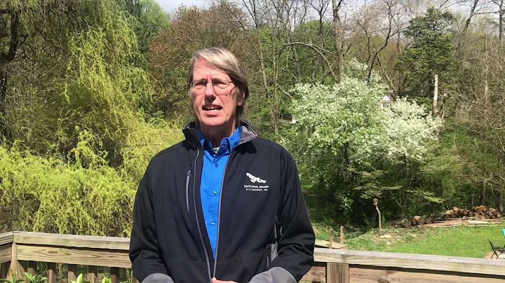 Ask the Expert: Dr. Steve Latta talks Andean Condo...