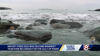 New report says 2022 was second warmest ever for Gulf of Maine
