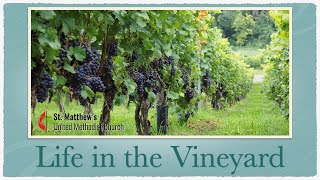 Thriving in the Vineyard: Connection, Growth, and Justice