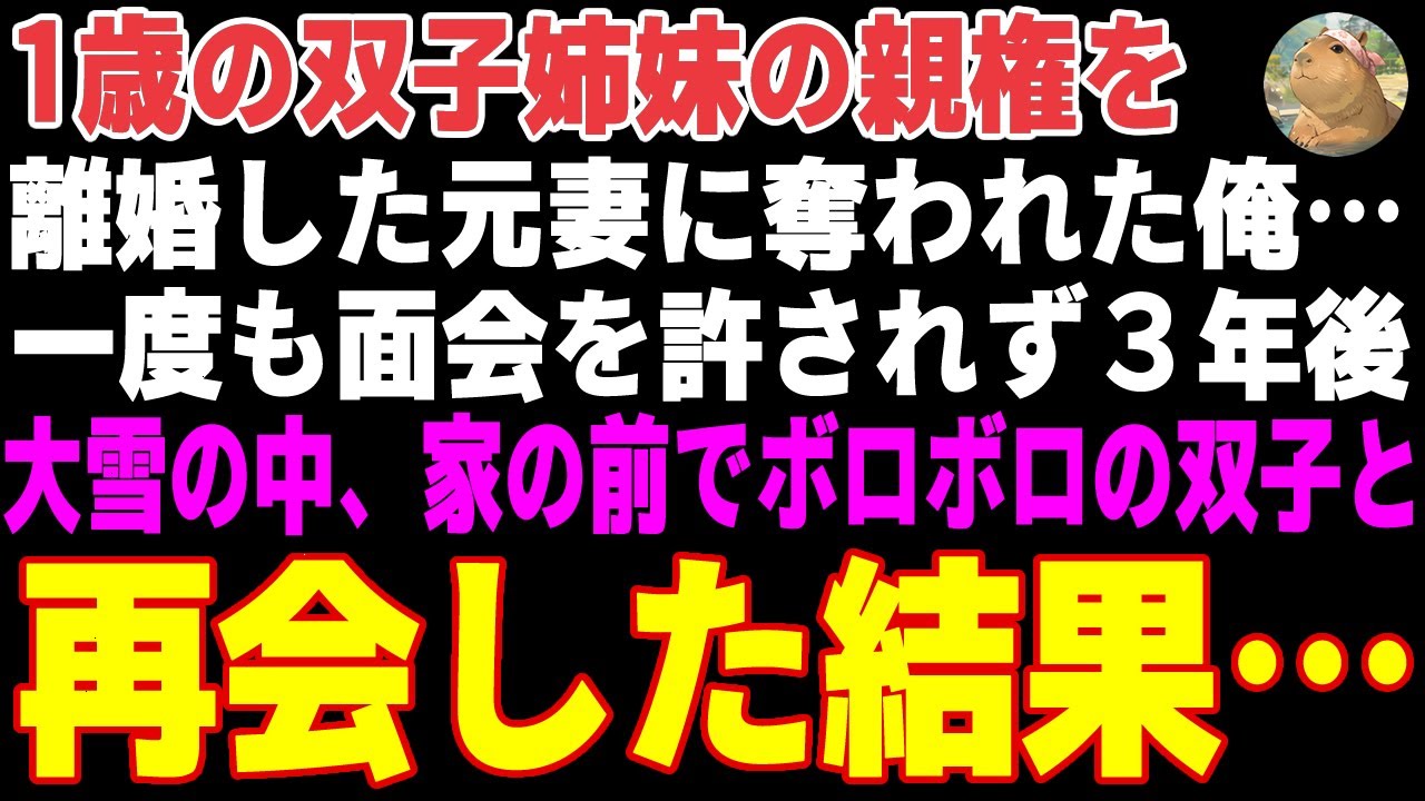 【感動する話】離婚した元妻に双子姉妹の親権を奪われた俺→面会も許されず３年後…大雪の中、俺の家の前でボロボロの双子と再会した結果【朗読・スカッと】