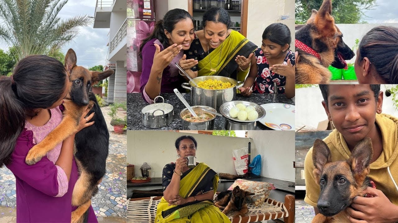 Happy Sunday 😎😍|| welcome cookie 🐶🐕￼