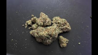 An 8th a day - 015 - Alien Kush