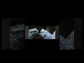 Dominator 3 edit #edit #dominator3 #врек