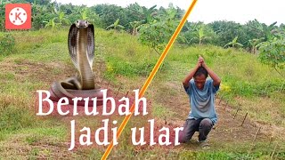 Cara berubah menjadi ular seperti pada film Indosiar - tutorial kinemaster