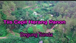 Tiis Ceuli Herang Panon - Degung Sunda bercampur Sareng asrina alam