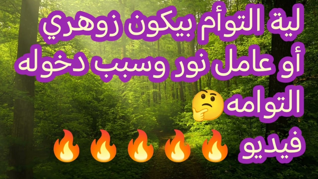 التوأم الشعلة ليه بيكون شخص زوهري أو عامل نور 🌷وليه دخل التوامه فيديو 🔥🔥🔥