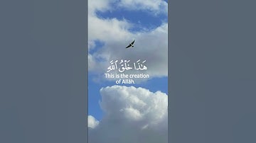 تلاوة من سورة لقمان 🤍 القارئ شريف مصطفى