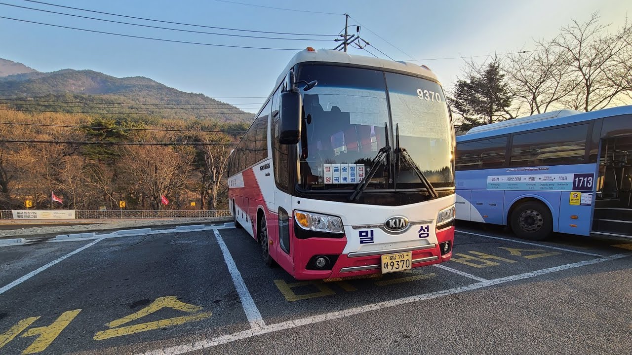 밀성여객 시외버스 밀양-석남사 전구간 주행영상