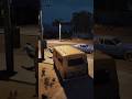 Don't Sleep And Drive #gaming #games #policesimulator #girlgamer #gamergirl #policechiefsimulator