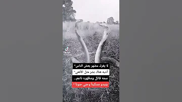المنافقين كثيره 