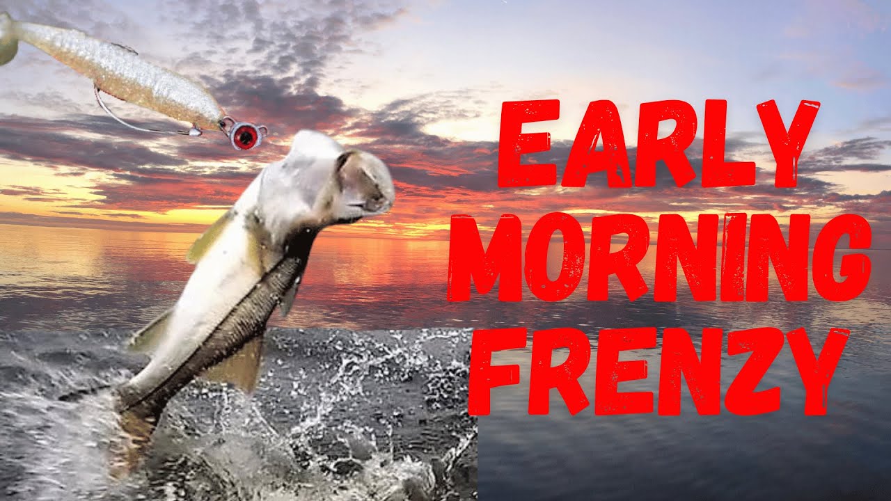 Frenzy on the Flat!! | Boca Grande Snook Fishing