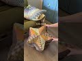 do we love?? full process vlog is on my channel now 🥰 #sewing #diy #pouf #patchwork