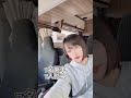 そのまま車中泊始められる車だね！#shorts