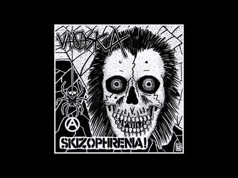 Vaaska — VAASKA & SCHIZOPHRENIA - Split ep [USA - JAPON - 2013]
