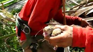 MVI_0546.AVI